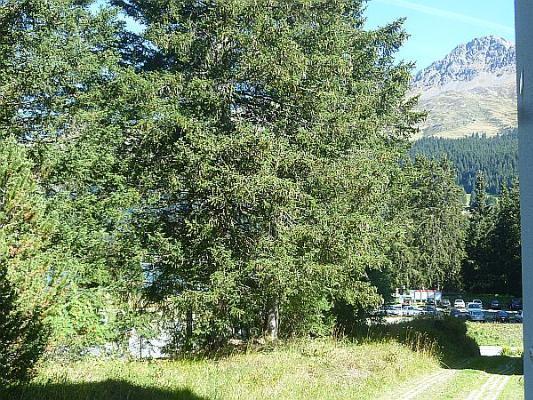 La Riva Διαμέρισμα Lenzerheide Εξωτερικό φωτογραφία